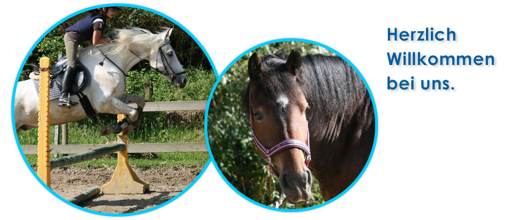 Reitschule Flandersbach Aus W lfrath Kreis Mettmann Reitstall reitschule-flandersbach-aus-w-lfrath-kreis-mettmann-reitstall