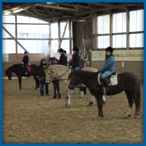 Reitschule Flandersbach Aus W lfrath Kreis Mettmann Reitstall reitschule-flandersbach-aus-w-lfrath-kreis-mettmann-reitstall